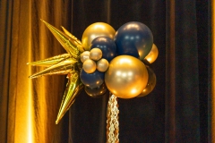 Night-of-the-Stars-2025-5