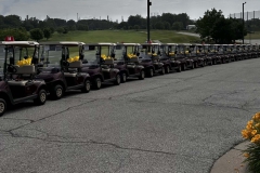 4-Lakeshore-Golf-carts-lineupb